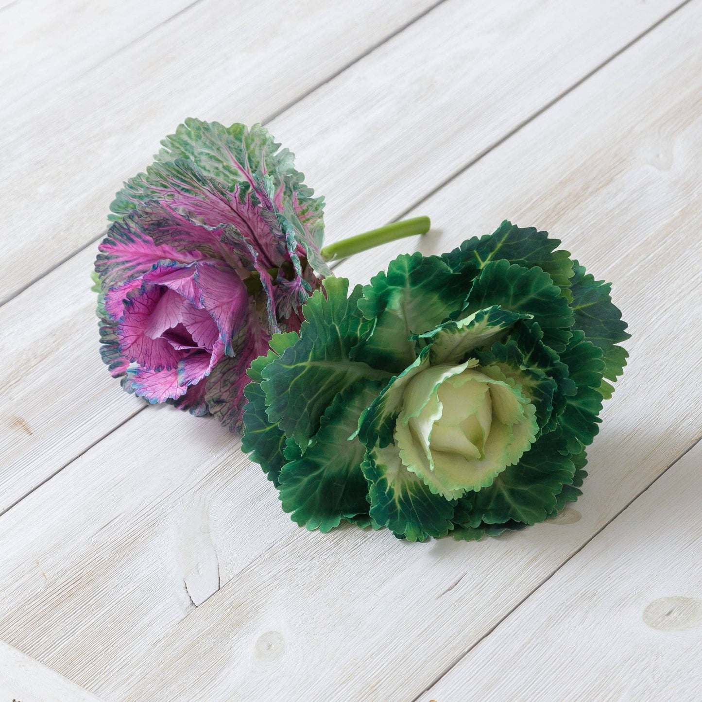 Pick - Real Feel Cabbage, Purple And Green