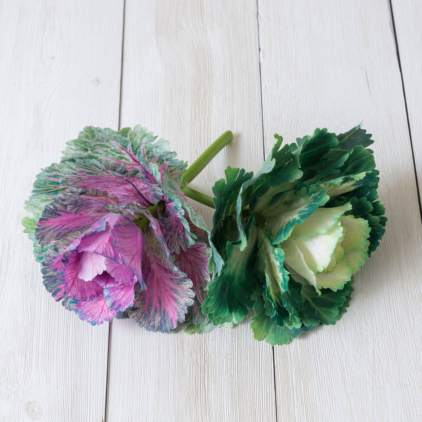 Pick - Real Feel Cabbage, Purple And Green