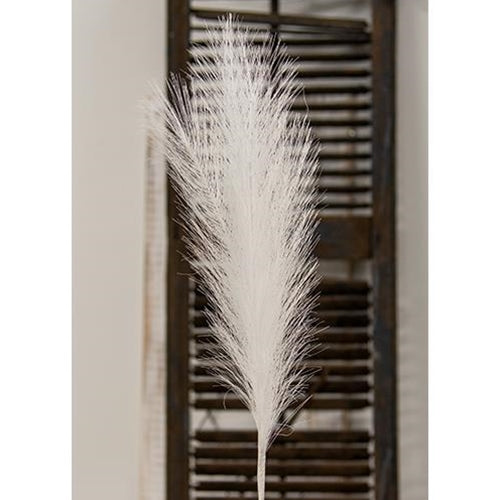 Pampas Grass Pick, 28", White