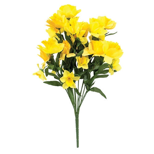Daffodil Bush, 18", Yellow