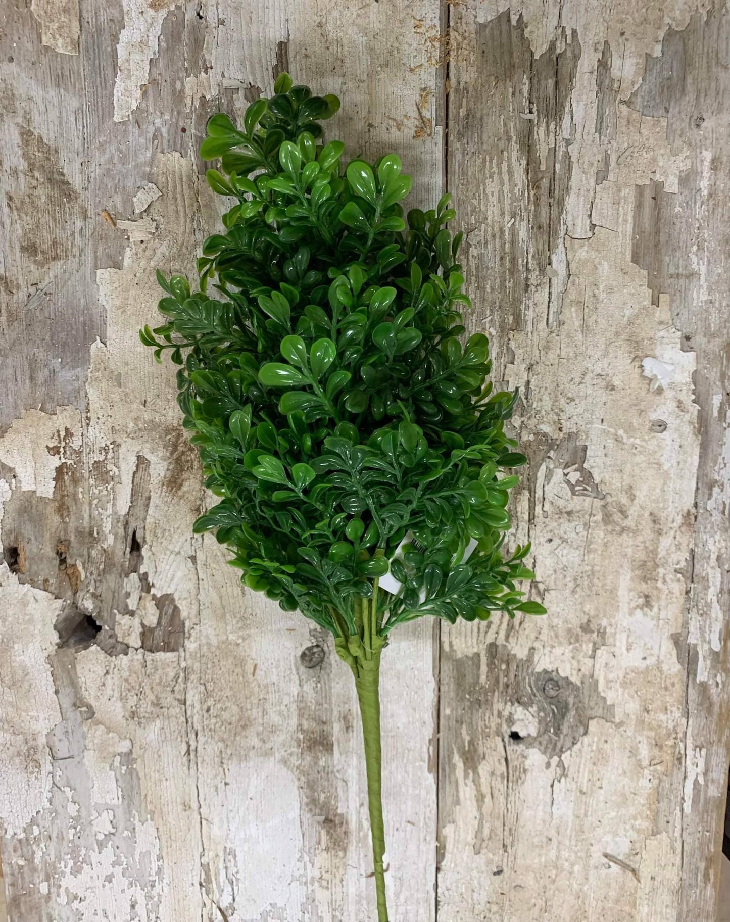 Boxwood 18in Pick