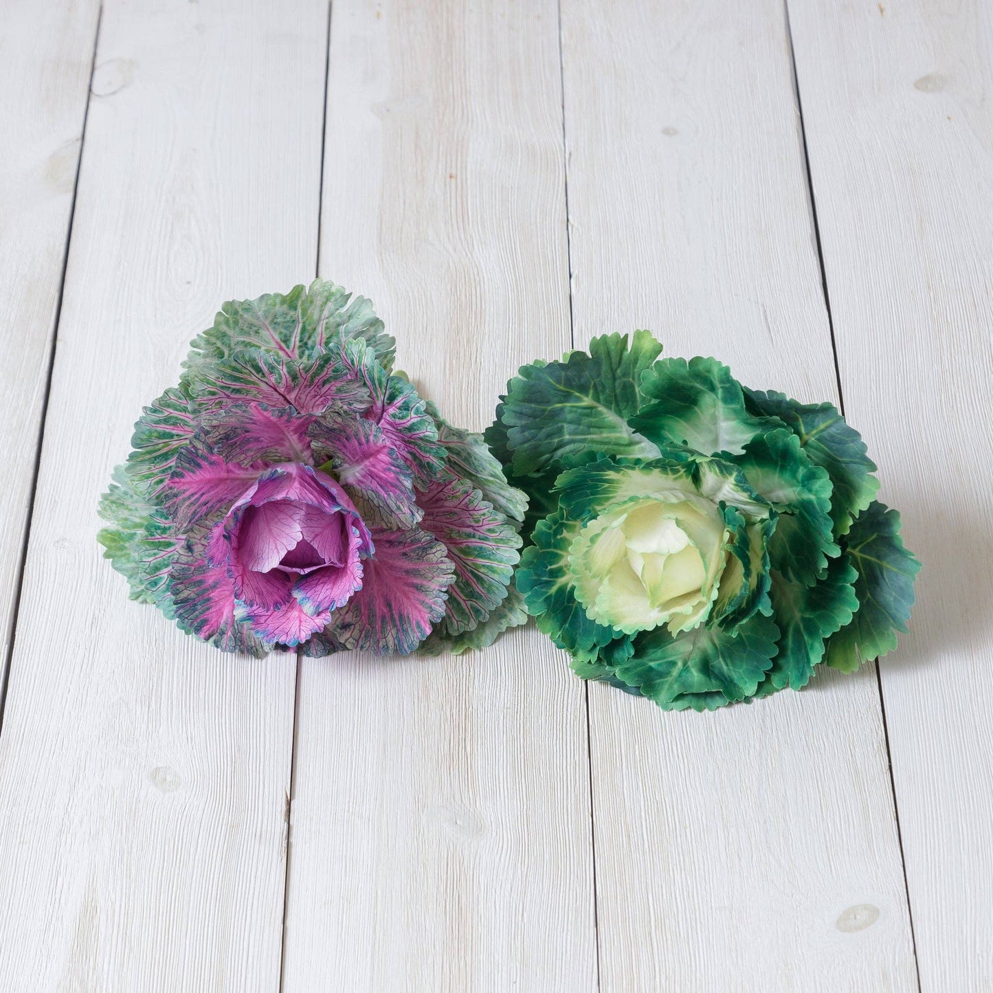 Pick - Real Feel Cabbage, Purple And Green