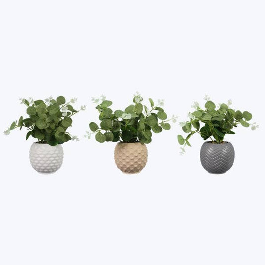 Ceramic Planter with Succulent 3 Ast