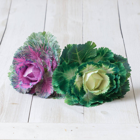 Pick - Real Feel Cabbage, Purple And Green
