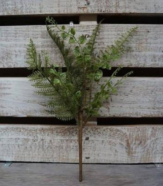 Fern Pick