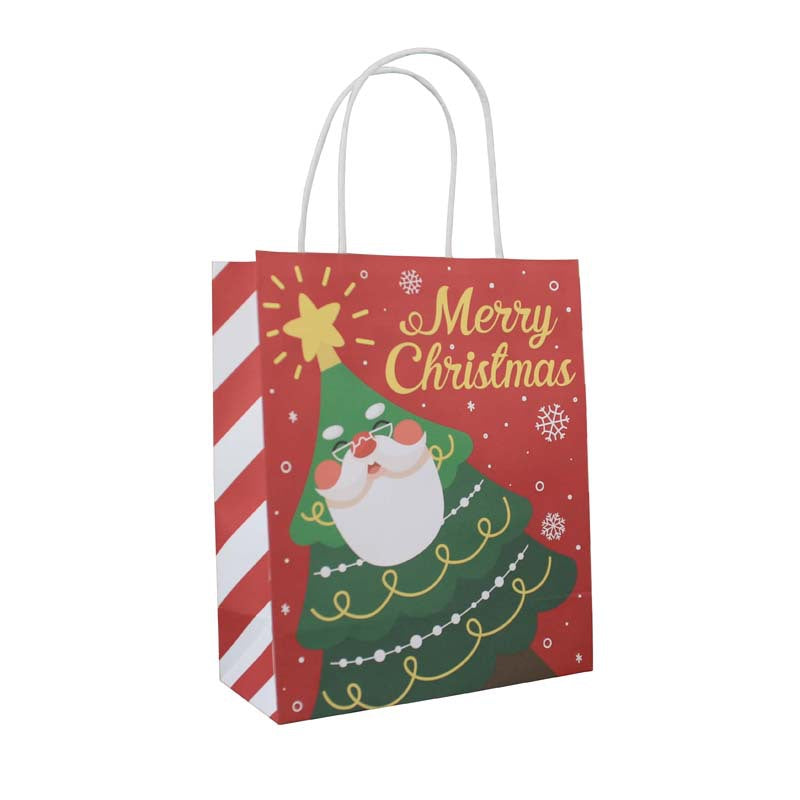 Merry Christmas Gift Bags