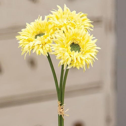 Triple Gerbera Daisy Bouquet, Light Yellow