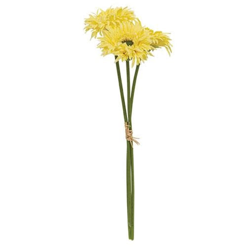 Triple Gerbera Daisy Bouquet, Light Yellow