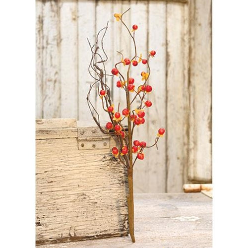 Twiggy Podka & Bittersweet Spray, 23"