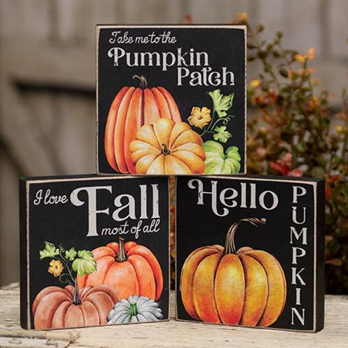 Hello Pumpkin Square Block